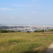  Sproing Pics (13/169)